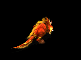 11.gif