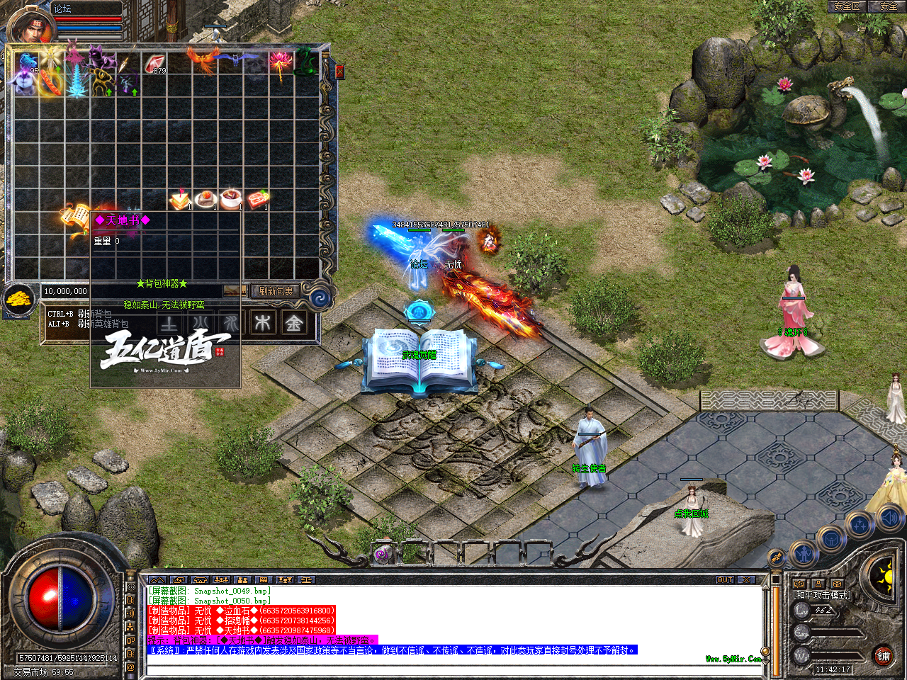 Snapshot_0051.bmp